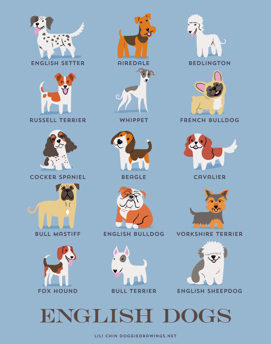 English Dogs