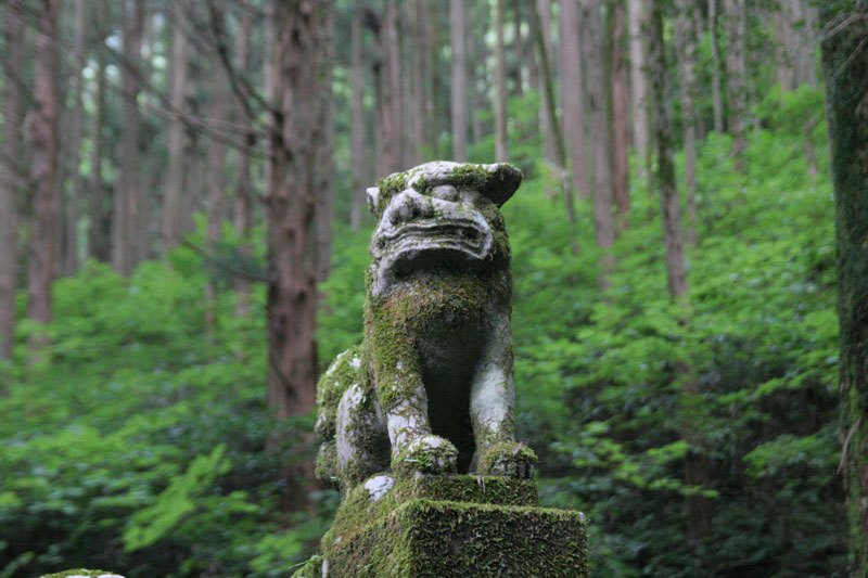 Forest Shrine in Japan (2)