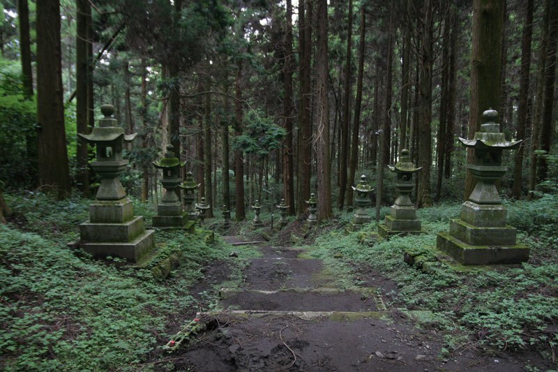 Forest Shrine in Japan (7)