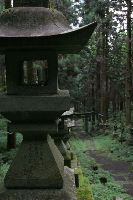 Forest Shrine in Japan (9)