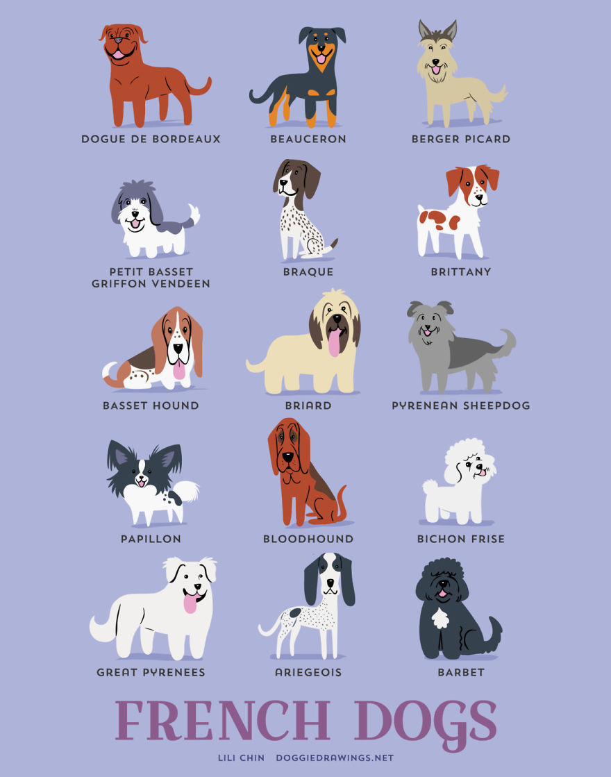 French Dogs
