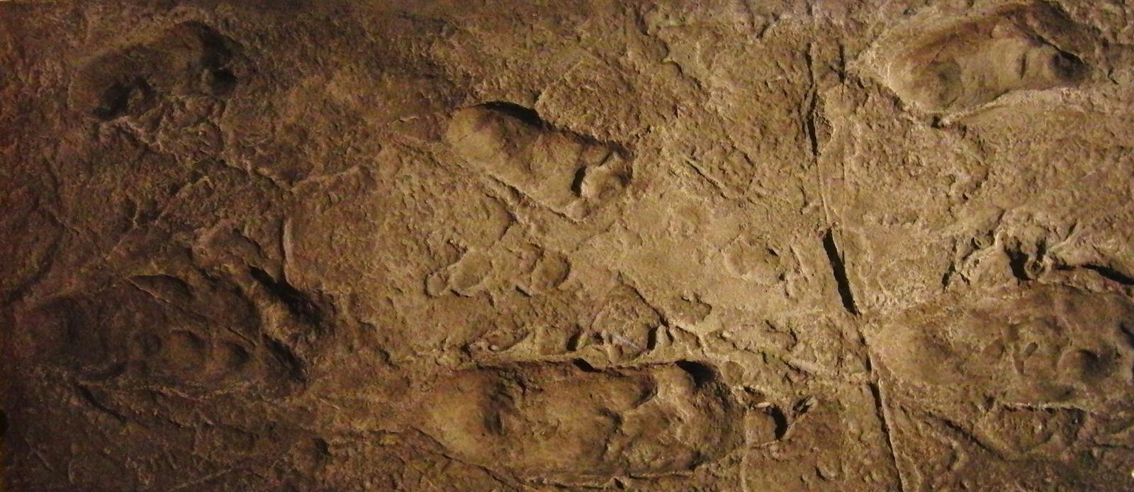 Laetoli Footprints