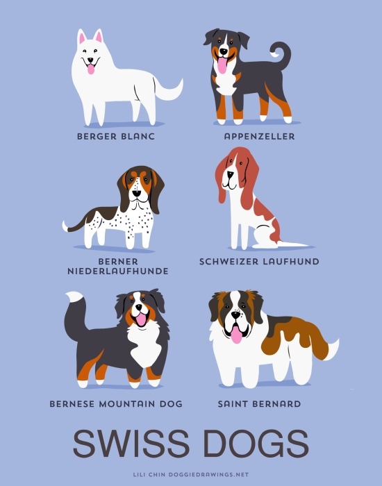 21 Adorable Posters That Show You Where Your Favorite Dog Breeds Come