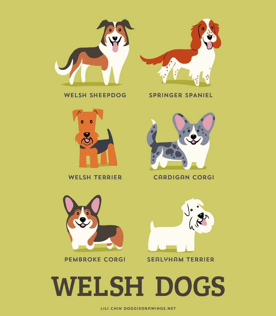 Welsh Dogs