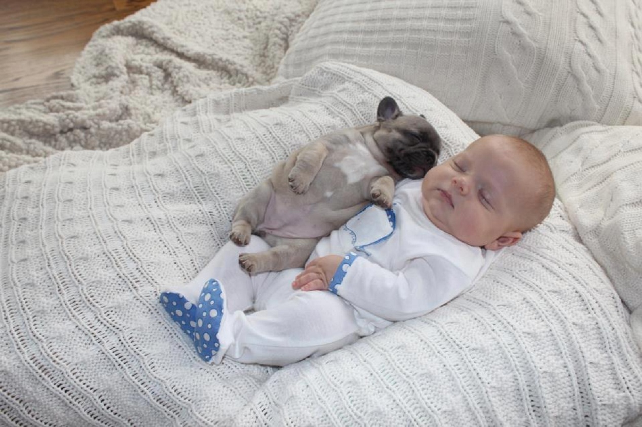 Baby Sleeping with French Bulldog (3)