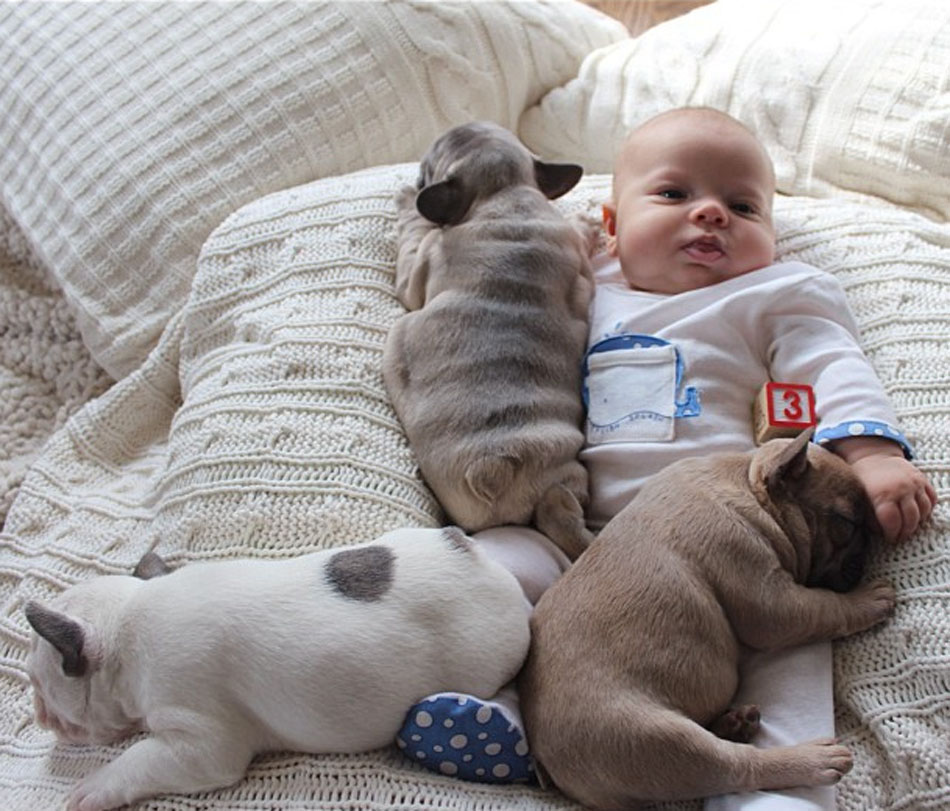Baby Sleeping with French Bulldog (7)