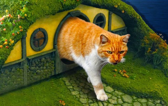 Lord of the Rings Cat Litter Box 16