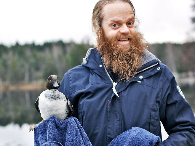 Norwegian Man Saves Duck 4