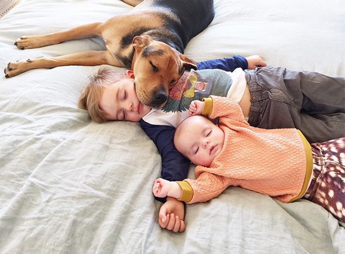 Theo, Beau And Evangeline Nap 1