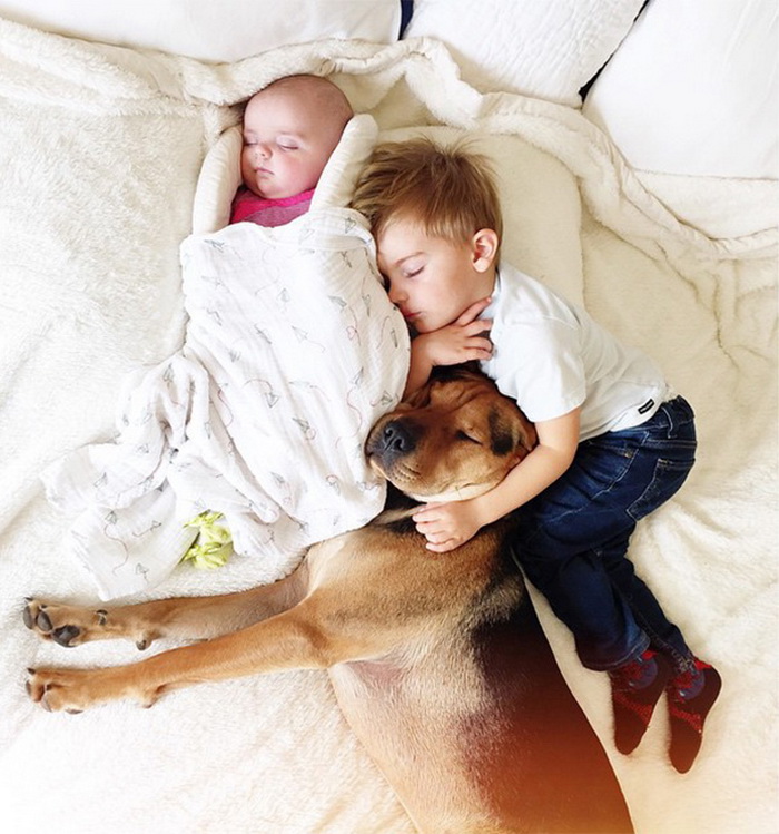 Theo, Beau And Evangeline Nap 4