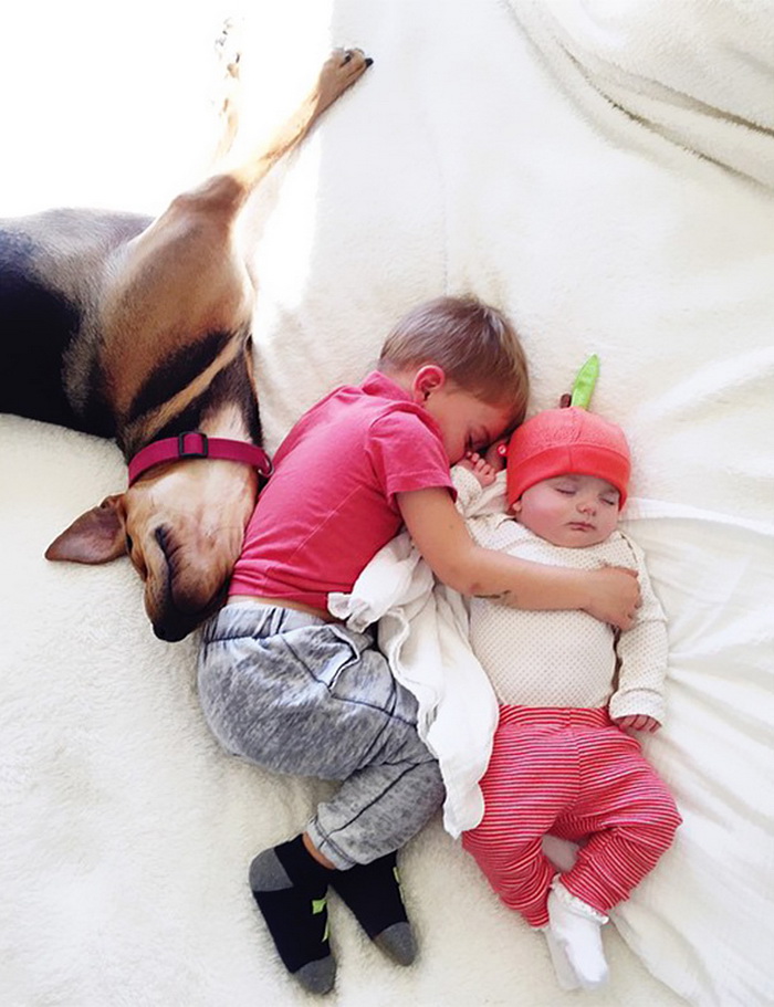 Theo, Beau And Evangeline Nap 5