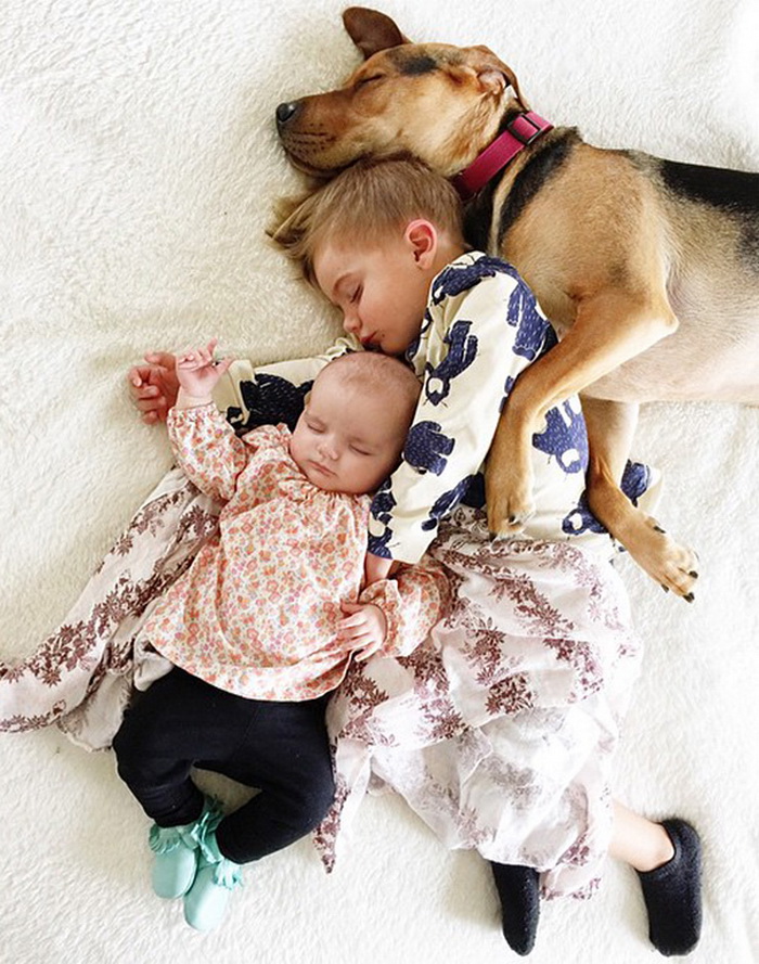Theo, Beau And Evangeline Nap 6