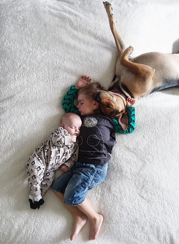 Theo, Beau And Evangeline Nap 8