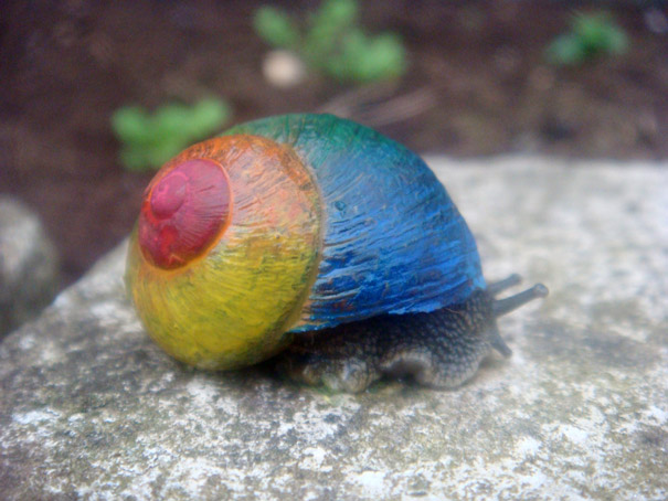 Painted Snail Shell 1
