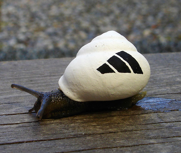 Painted Snail Shell 11