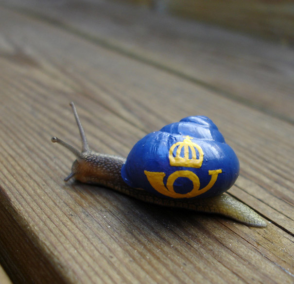 Painted Snail Shell 2