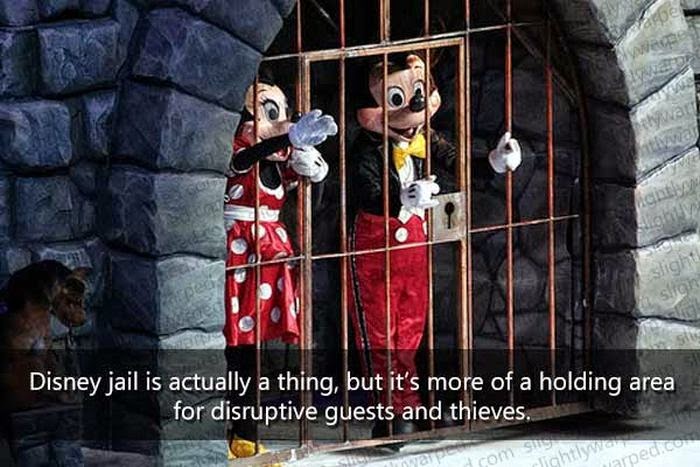 Disneyland Fact 20