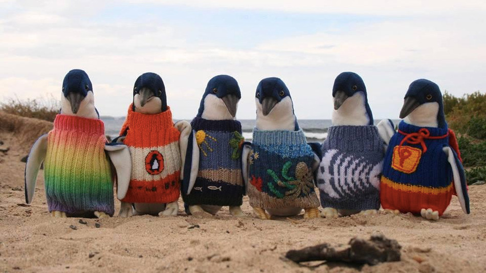 Penguin Sweaters