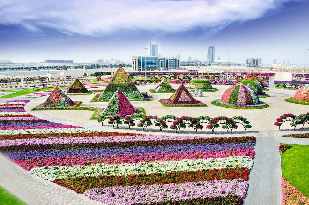 Dubai Miracle Garden 10