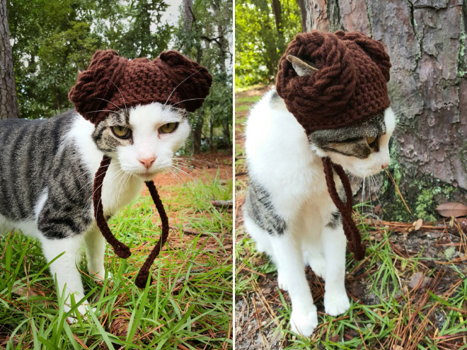 Crocheted Pet Hat 10