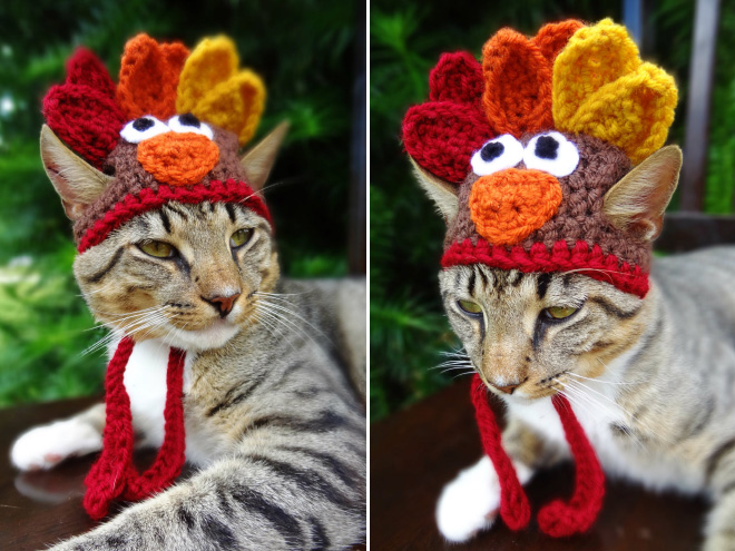 Crocheted Pet Hat 13