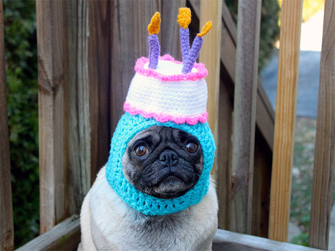 Crocheted Pet Hat 2