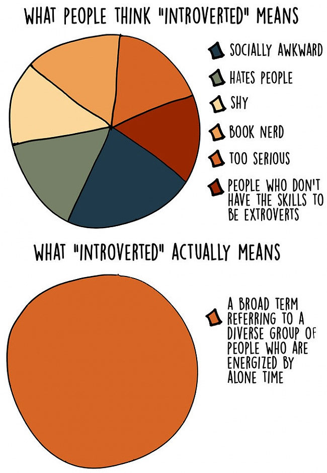 Introvert 8