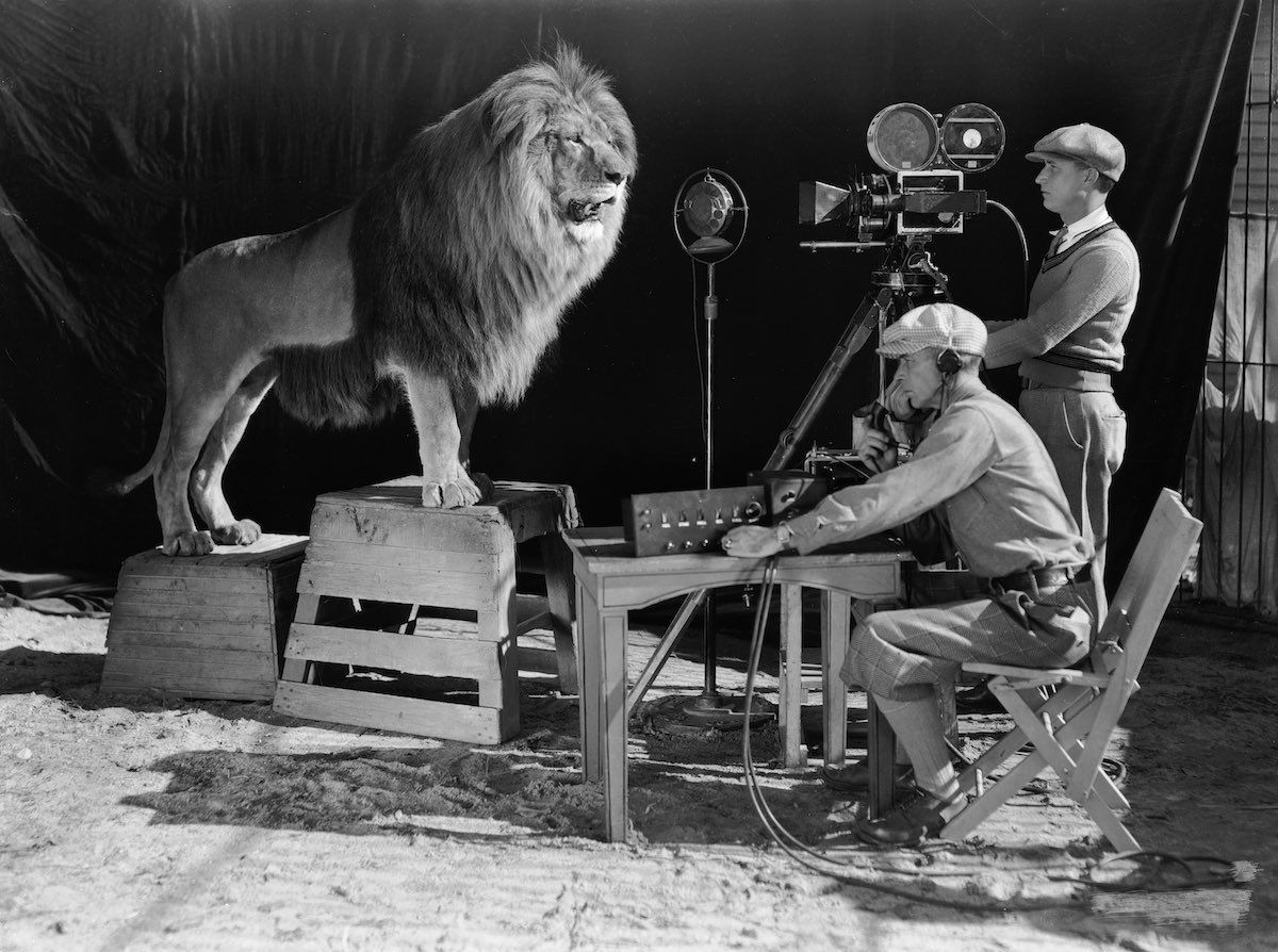 mgm-lion